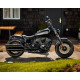 CHIEF BOBBER DARK HORSE